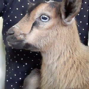 Meet your Posher, Valerie